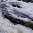 IndiaWilds Newsletter Vol. 4 Issue III In this issue of IndiaWilds Newsletter Vol. 4 Issue III, we examine the Interlinking of rivers which has been recently given the go ahead by Supreme Court. India is...