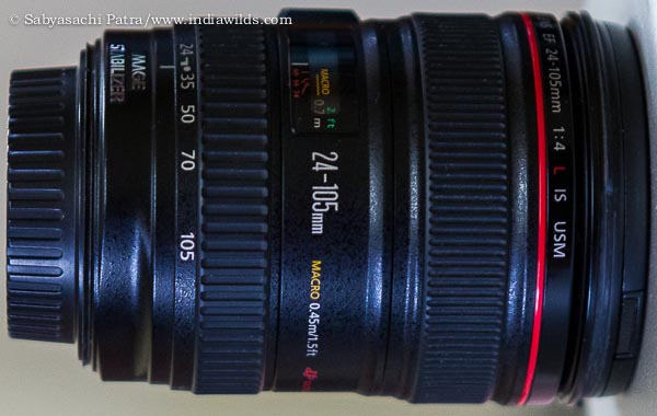 Canon EF 24-105 F4 L IS USM lens review | Diary - Tales from Wild