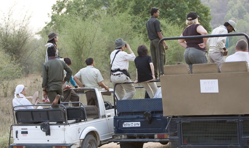 Crowd in Tiger Reserve