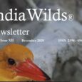 IndiaWilds Newsletter Vol. 12 Issue XII ISSN 2394 – 6946 Download the full Newsletter PDF by clicking the below button – Safety of Humanity Lies in Saving Forests As 2020 comes to a close, people […]