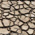 IndiaWilds Newsletter Vol. 4 Issue VI  In this issue of IndiaWilds Newsletter Vol. 4 Issue VI, given the population explosion we look at the various livelihood options like Agriculture and Fisheries impacting our environment. This...