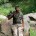 Bush Hawk 320D I have been photographing handheld from the back of an elephant for a long time. I faced many situations where the tiger was sleeping in shade and...