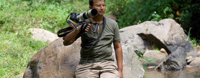 Bush Hawk 320D I have been photographing handheld from the back of an elephant for a long time. I faced many situations where the tiger was sleeping in shade and...