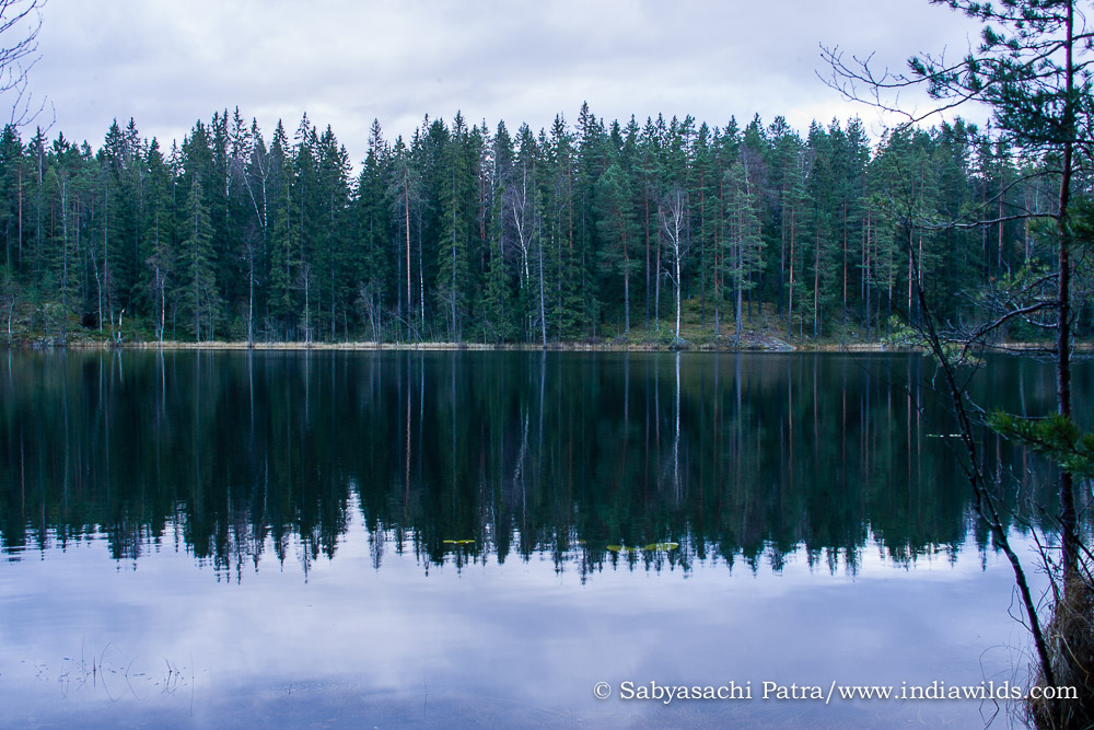 Nuksio National Park - Finland