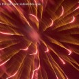 Diwali: An appeal Gone are the days when Diwali used to be a real fun filled festival of lights. Do we remember why we used to celebrate Diwali? Not many can answer. Swami Vivekananda had...
