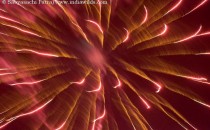 Diwali: An appeal Gone are the days when Diwali used to be a real fun filled festival of lights. Do we remember why we used to celebrate Diwali? Not many can answer. Swami Vivekananda had...