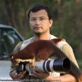 Wild India | An Encounter with a Wild Malabar Giant Squirrel It was about 6.30 am in the morning on the last day of my field visit to Wayanad and Nagarhole. The last night I...