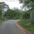 IndiaWilds Newsletter Vol. 4 Issue X This issue of IndiaWilds Newsletter examines the challenges behind Sandalwood Tree in various states, the move to create a National Investment Board and throttle all environmental concerns as well...