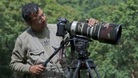 Wildlife Filming Queries I have been getting many mails from readers asking questions about filming or how to become my assistant. In the first part of the series (http://www.indiawilds.com/diary/the-three-idiots-effect/), I...