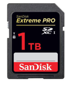 Sandisk 1TB SDXC card