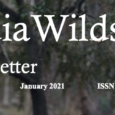 IndiaWilds Newsletter Vol. 13 Issue I ISSN 2394 – 6946 Download the full Newsletter PDF by clicking the below button – Wildlife Conservation & Discovering India History attaches lot of importance to travellers to ancient […]