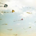 Kite Flying: Impact on birds I was taking my morning walk in the park when I saw a group of people excitedly crowding around. When I came closer I could see that there was a […]