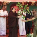 Jayalalitha planning sappling