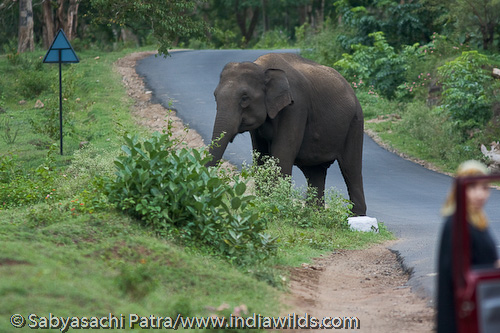 Right of Way Right of Way