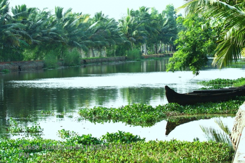 Kerala Landscape.