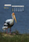 Icon of IndiaWilds April Mobile Wallpaper Calendar