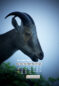 Icon of IndiaWilds November Mobile Wallpaper Calendar