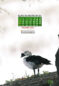 Icon of December 2021 Mobile Calendar Wallpaper