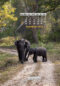 Icon of IndiaWilds Sep2022 Mobile Wallpaper Calendar
