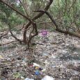 Ban on single use plastics 21, March 2022 The Plastic Waste Management Rules (PWMR), 2016, provides the statutory framework for plastic waste management in an environmentally sound manner throughout the country. Thirty Four States/UTs have […]