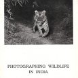 Photographing Wildlife in India by T. N. A. Perumal Wildlife photography has an universal appeal because the caveman’s instinct of sketching the animals, feared by him, hunted by him and loved by him, is in […]