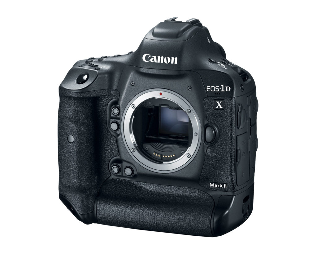 Canon EOS 1DX Mark II Review | Diary - Tales from Wild India