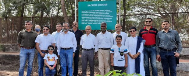 Plantation of Sacred Groves in MLIT Pune