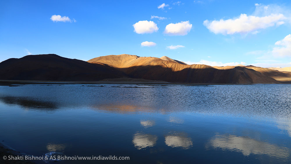Ladakh: An Enchanting Landscape