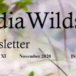 IndiaWilds Newsletter-Image-November-2020