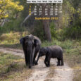 Monthly Mobile Wallpaper Calendar 2022 The IndiaWilds 2022 mobile wallpaper calendars will contain various striking images of wildlife. Bookmark this space as every month we will upload a new mobile wallpaper calendar here. September 2022 […]