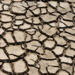 Cracked mud of the dried up fields due to famine in India