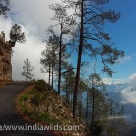 The Indian Himalayan landscape