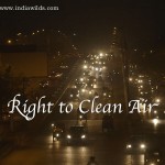 Right to Clean Air