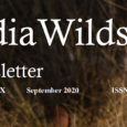 IndiaWilds Newsletter Vol. 12 Issue IX ISSN 2394 – 6946 Download the full Newsletter PDF by clicking the below button – Technology per se will not save us from Climate Change: Climate change is on […]
