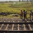 Elephant deaths by train accidents showing a declining trend Every year many elephants are mowed down by trains in different parts of the country. In in an order dated 2.9.2014 in Writ Petition W.P. (C) […]