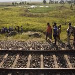 Two elephants killed by train in Assam