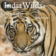 IndiaWilds Newsletter Vol. 12 Issue VIII ISSN 2394 – 6946 Download the full Newsletter PDF by clicking the below button – World Elephant Day brings no cheer for Elephants: World Elephant Day is celebrated on […]