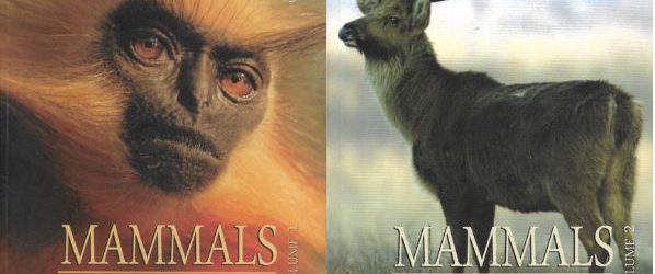 mammals -book cover photo