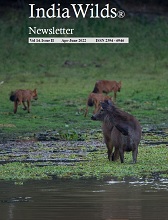 Wild India Newsletter Vol 14 Issue II